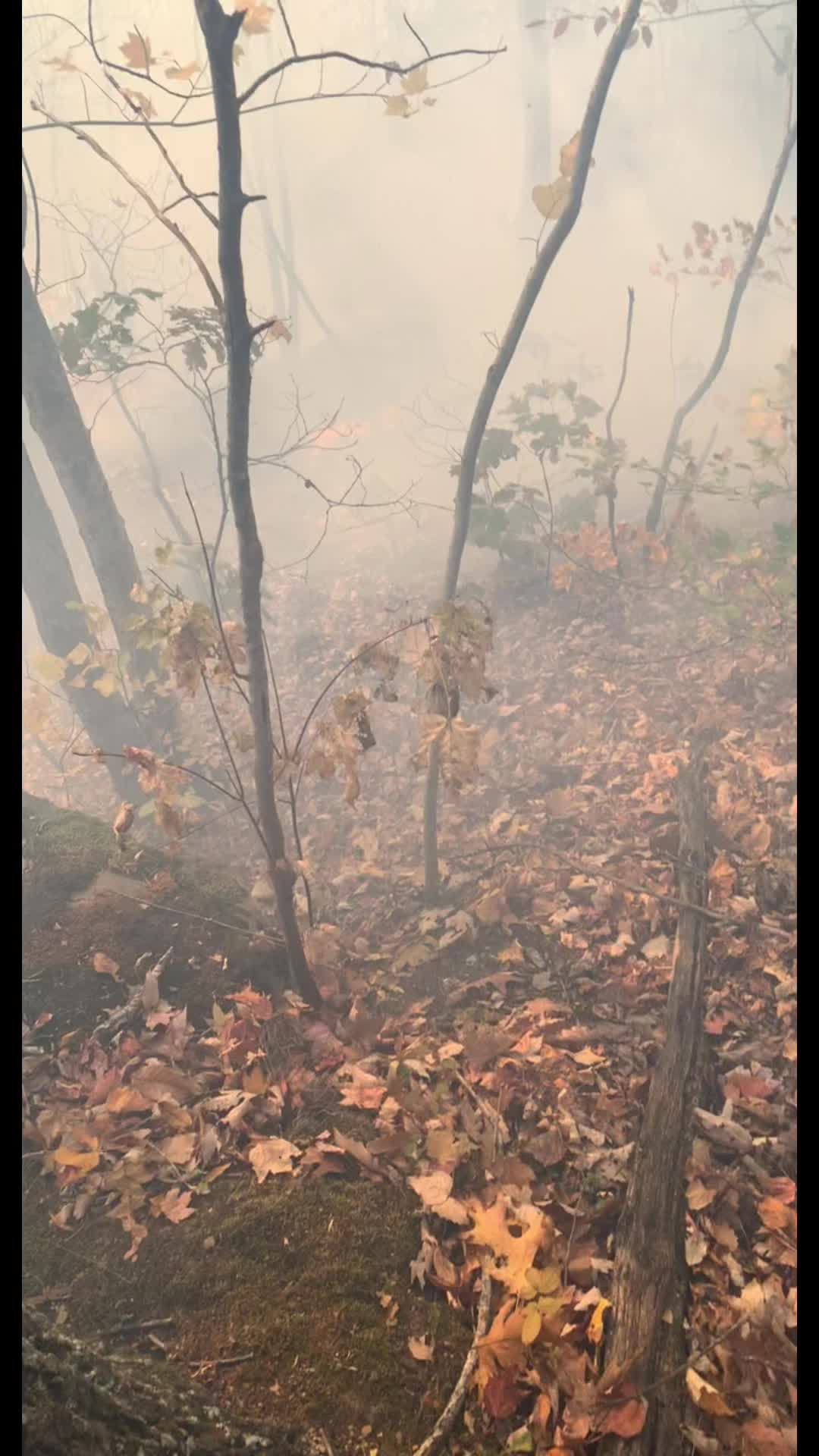 @Asst.firechief601