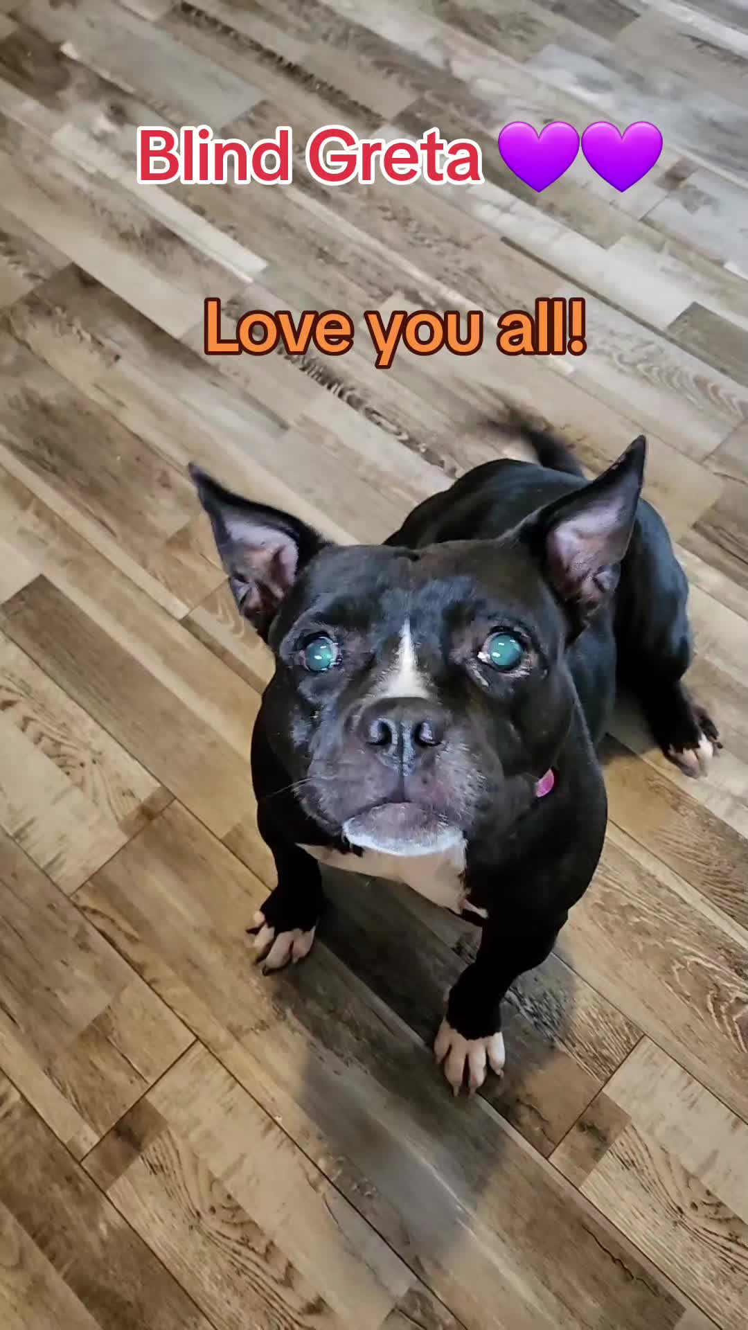 @Blind Greta & Millie