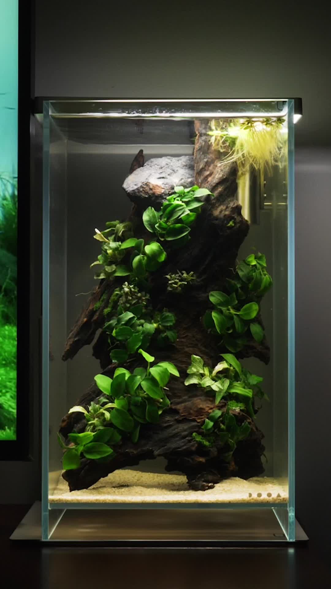 @🌱