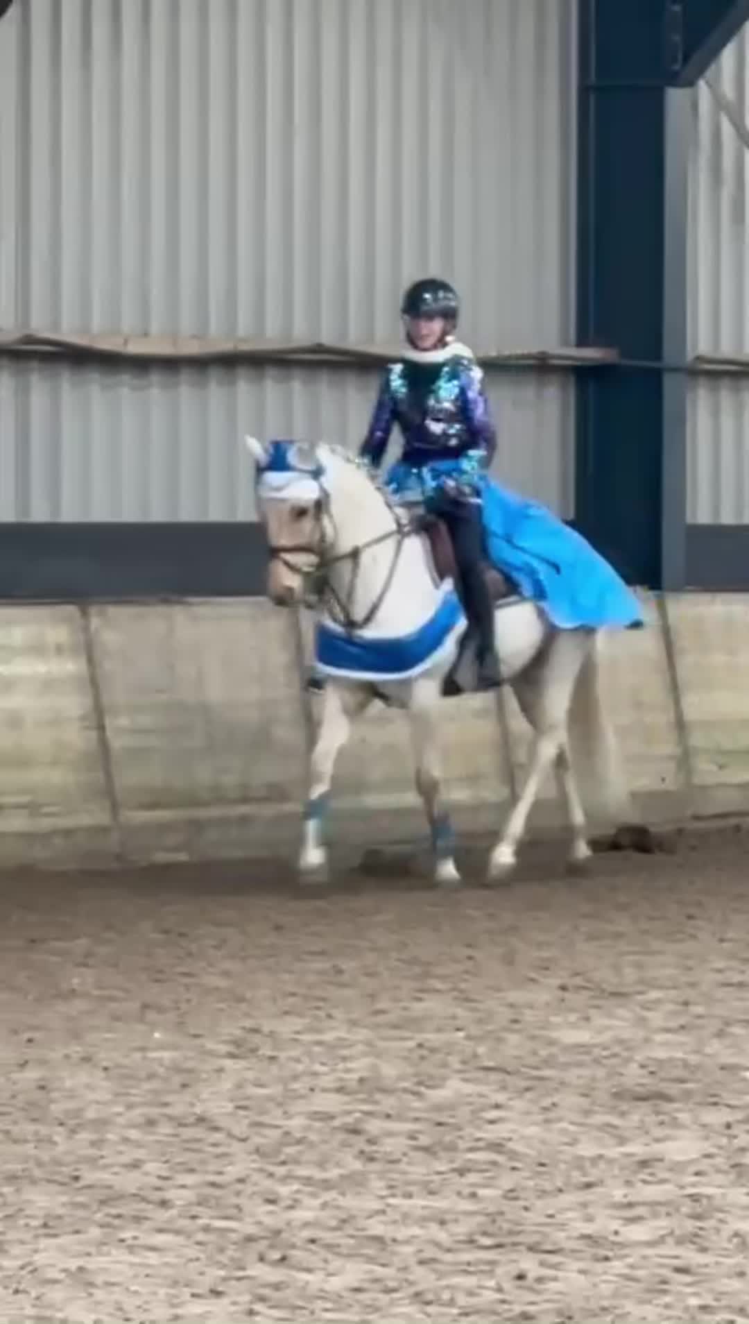 @allroundxgroep🩷🐴