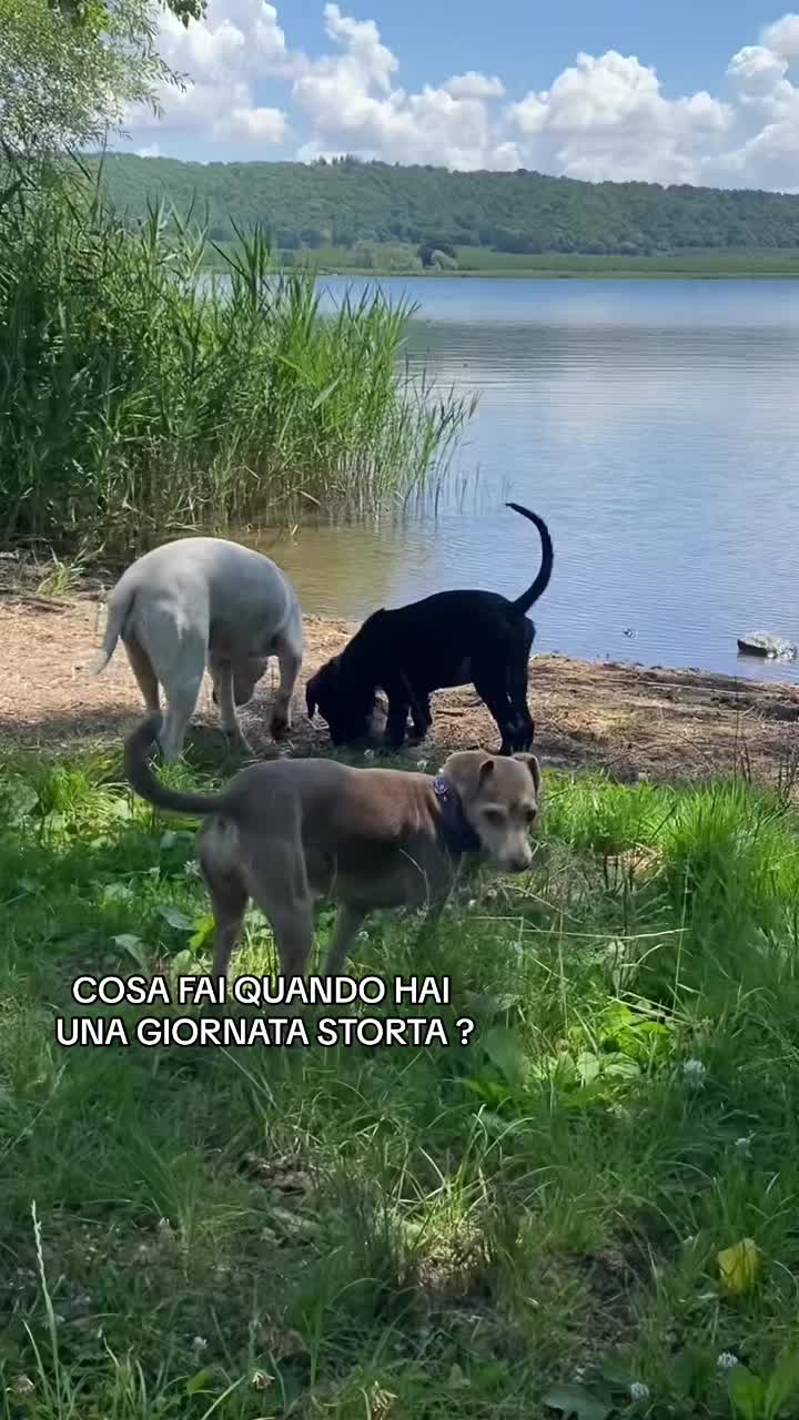 @Ilaria Urbani