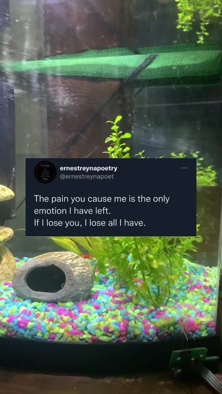 @ErnestReynaPoetry