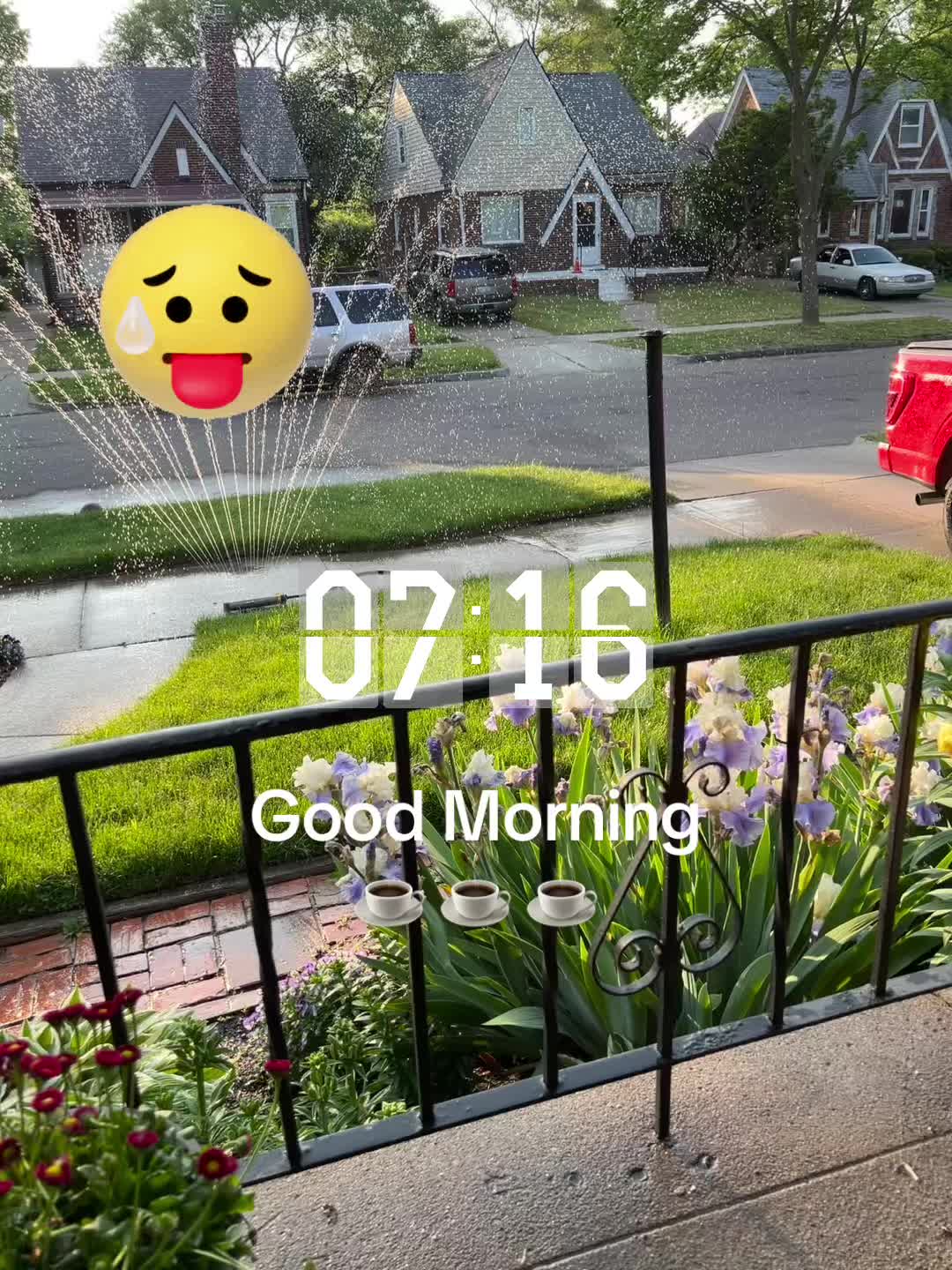 @DirtyGloveGardening👨🏾🌾