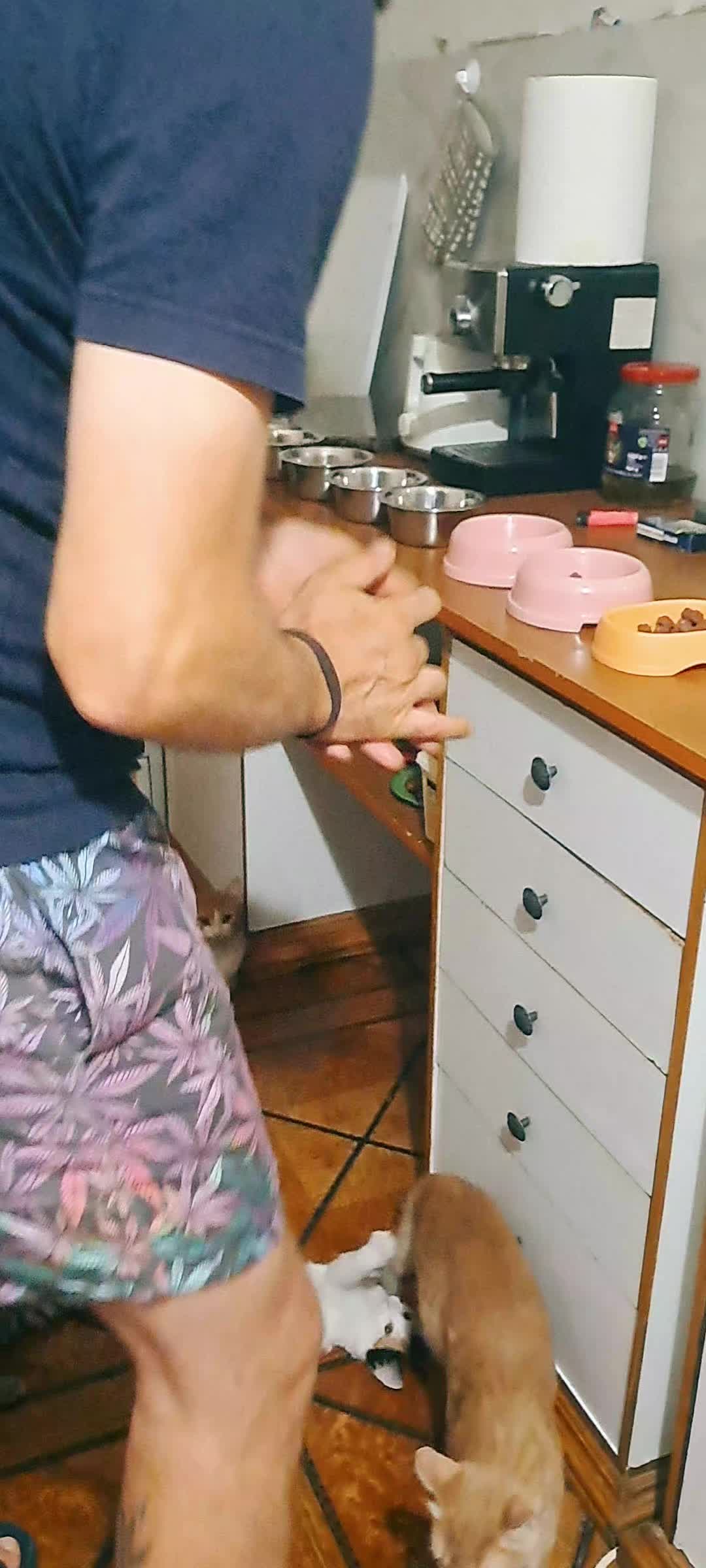 @Coiosu'&Co.