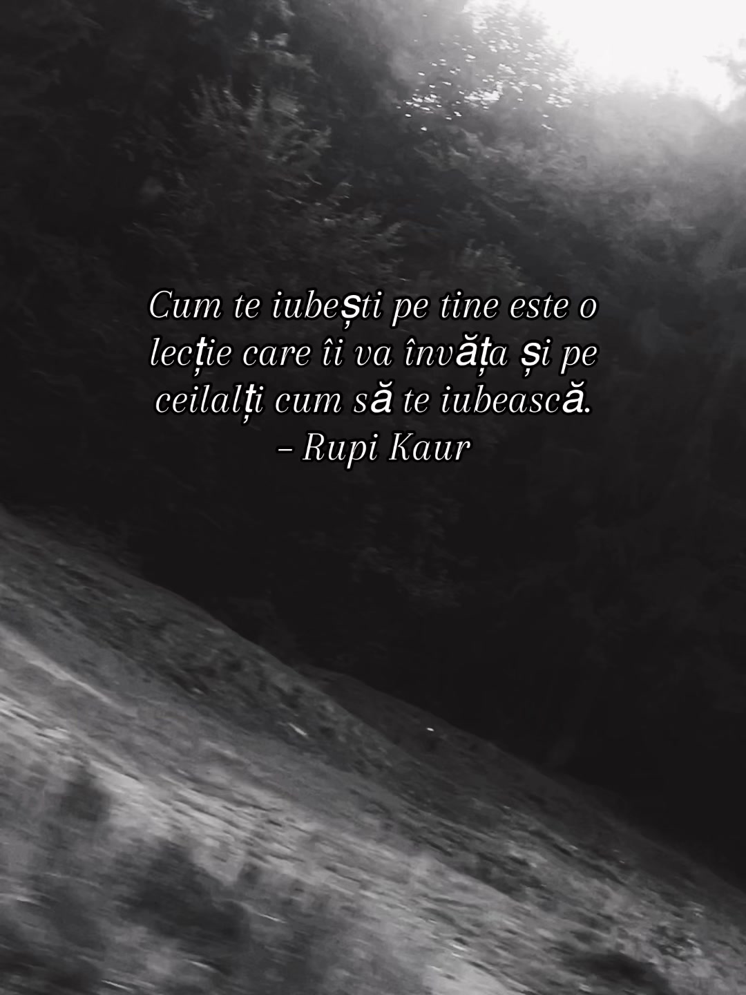 @Ghita Papuc