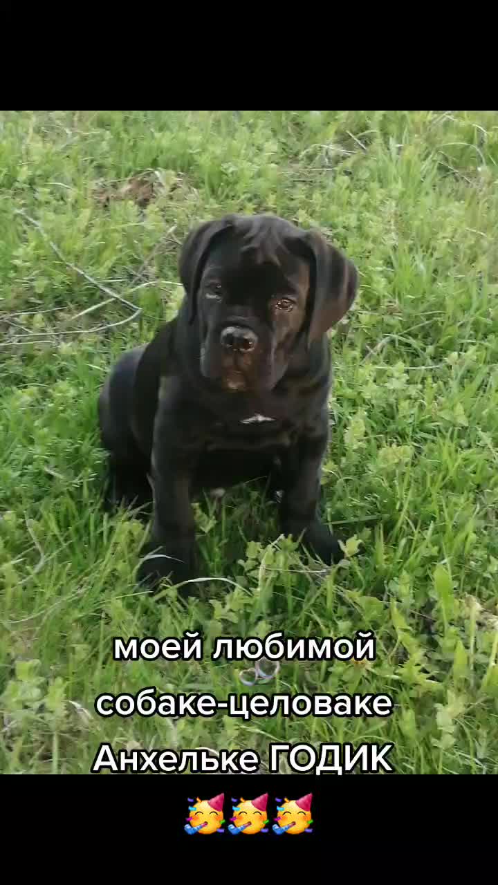 @Radychka33
