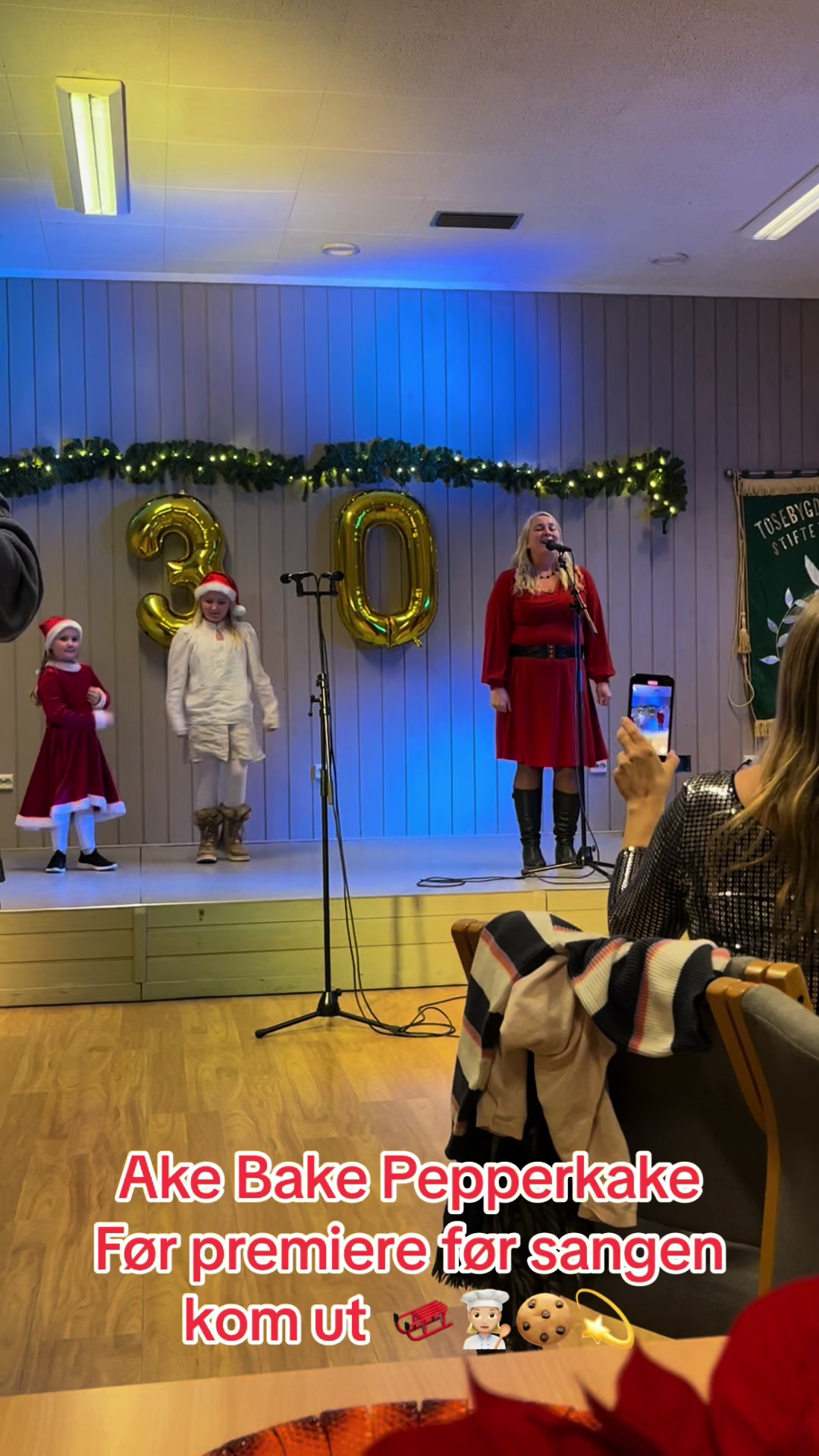 @Hilde Ring S&oslash;rensen