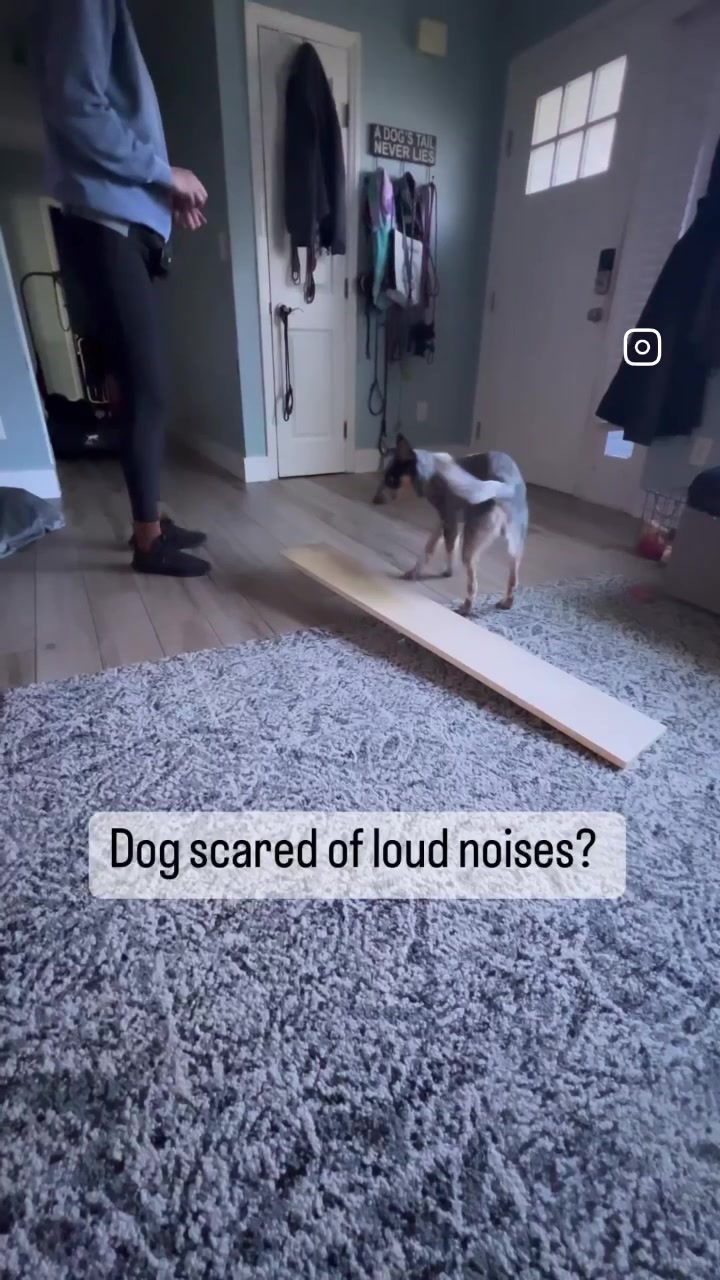 @thewoofpacknc