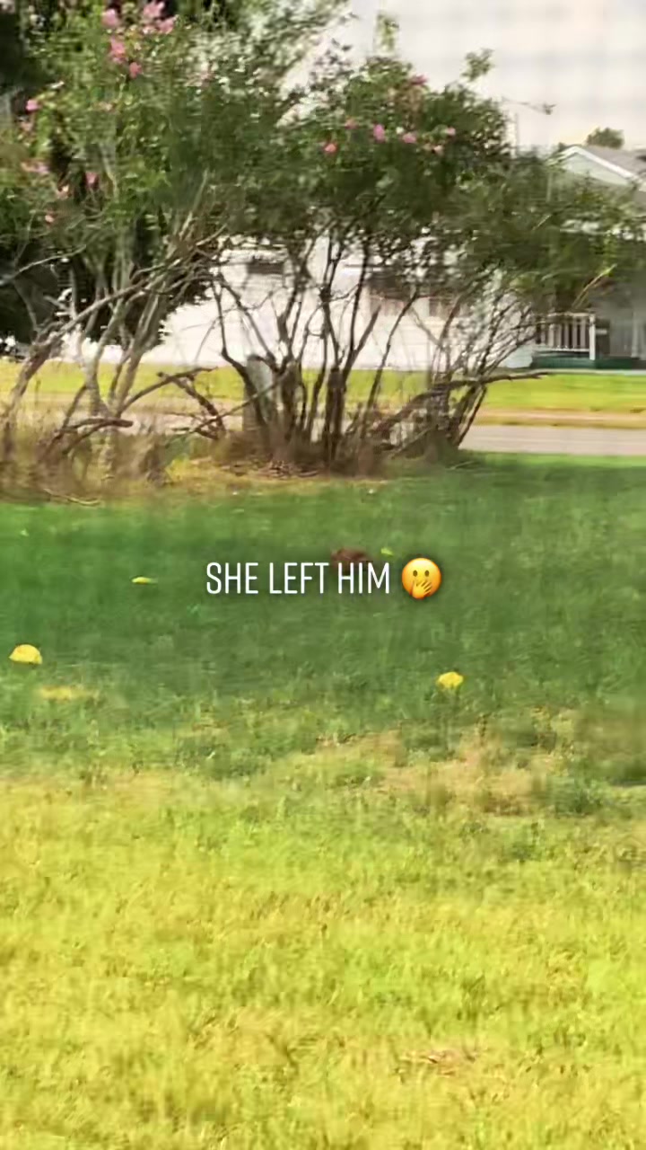 @Gina