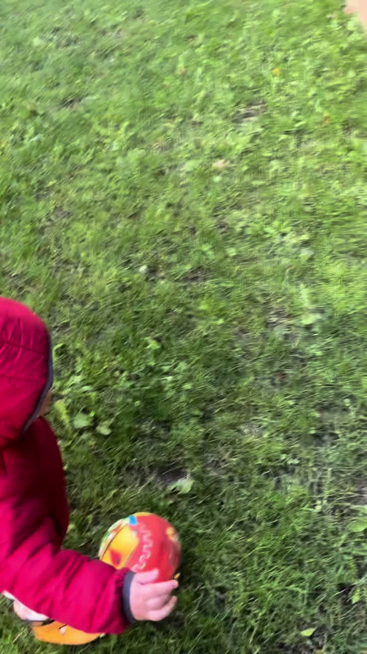 @akibaby233