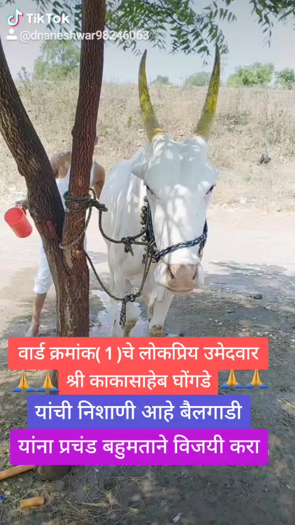 @शेतकरी ज्ञानेश्वर