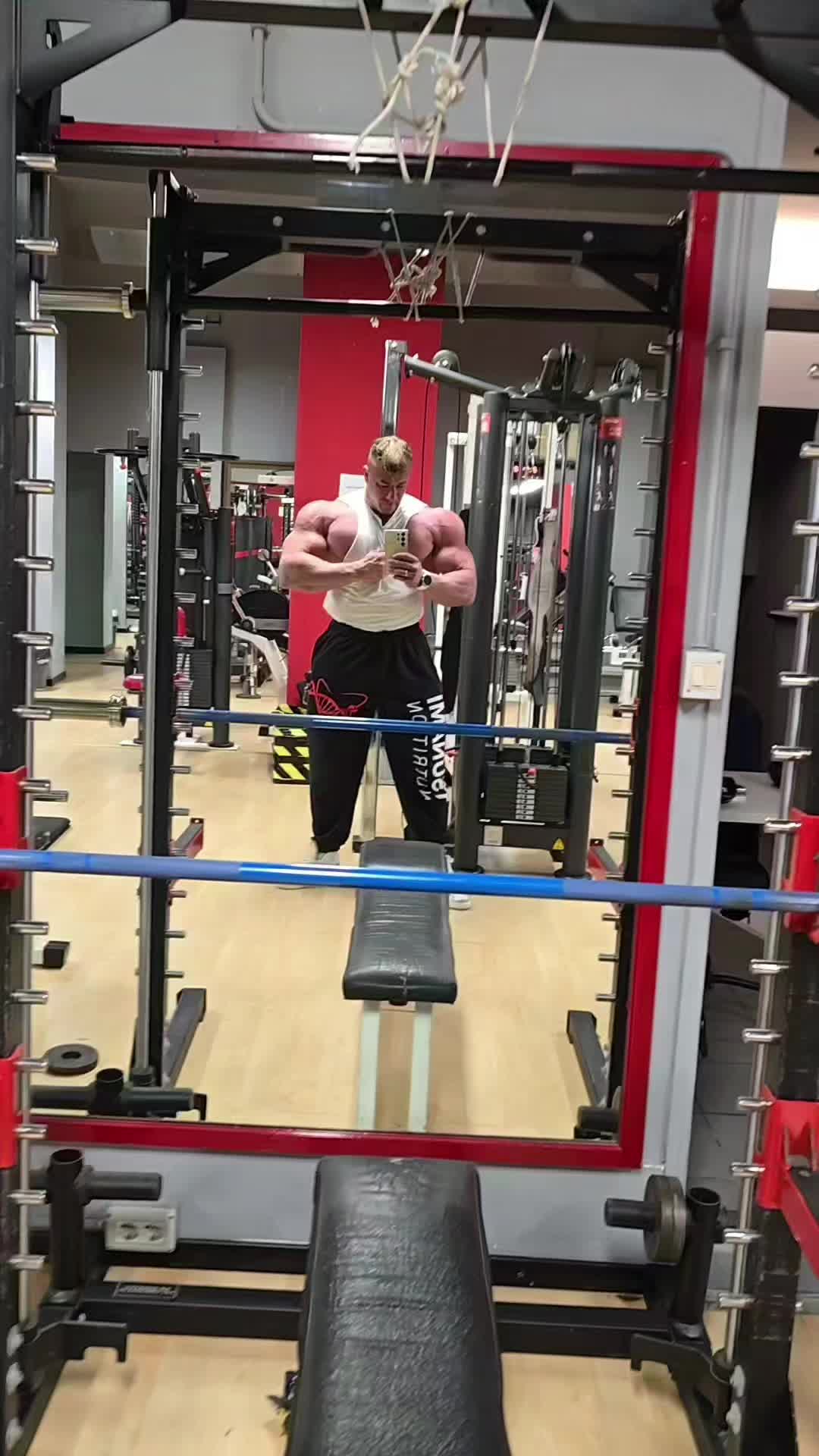 @nicolascarpa_ifbbpro