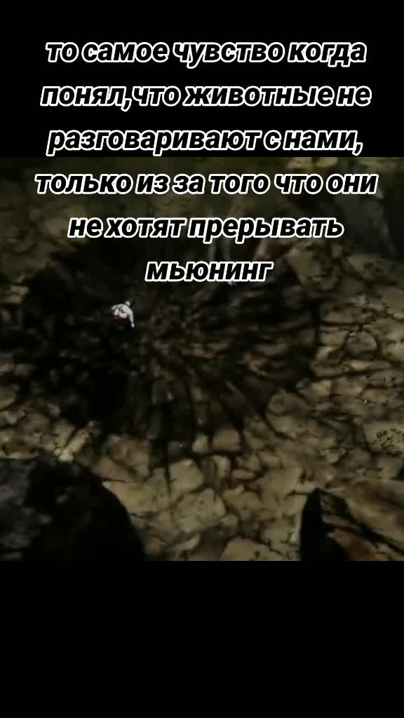 @Xeno