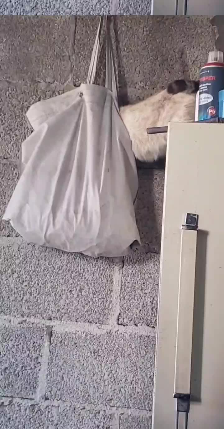@china23050