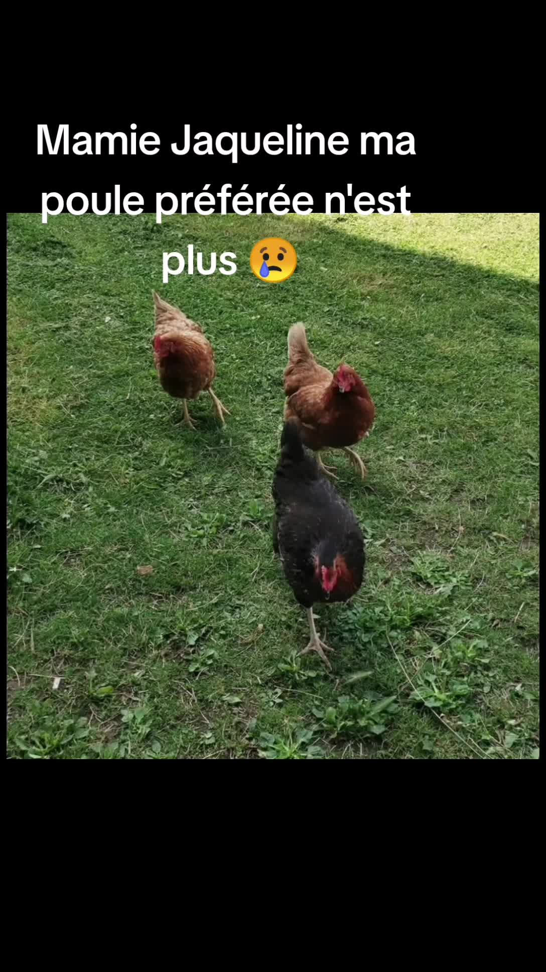 @Miloune au jardin