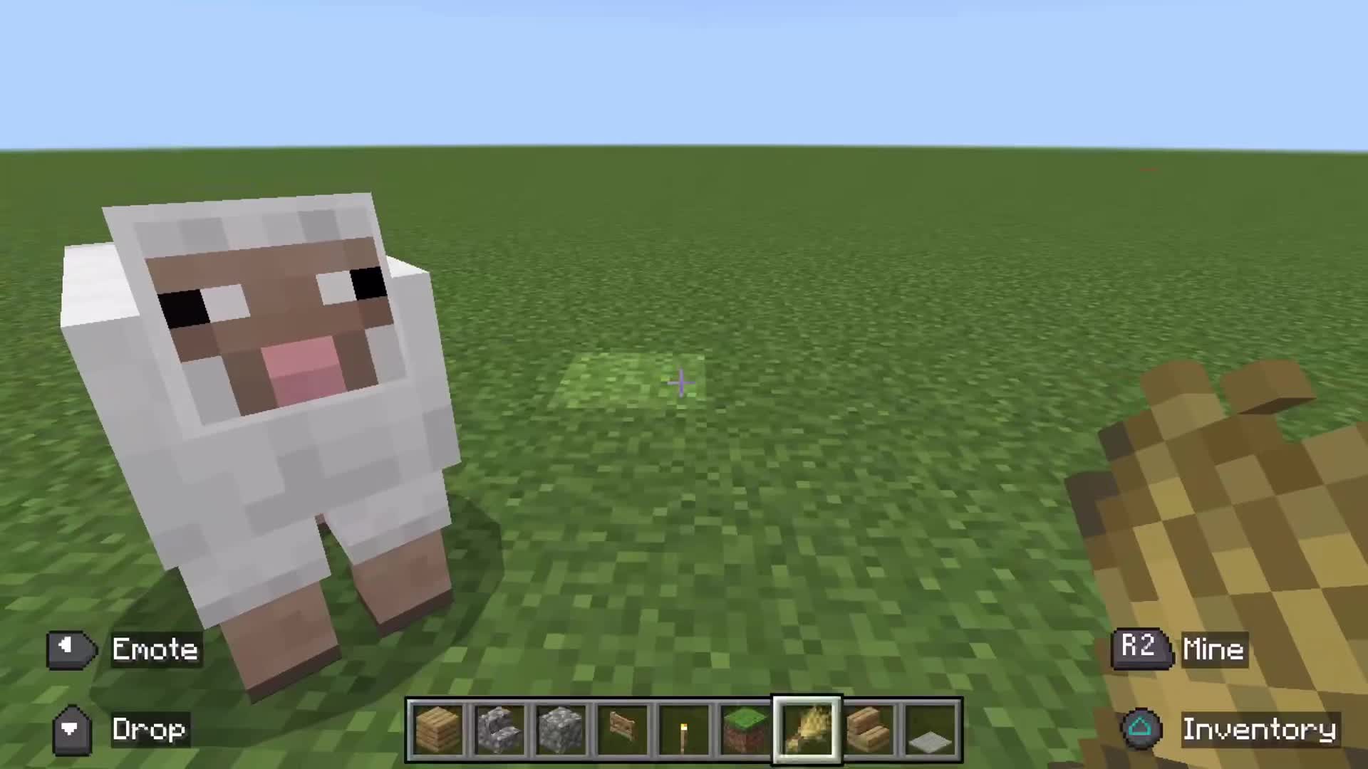 @Minecraft Community