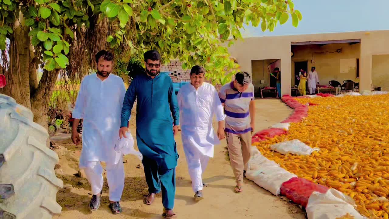 @Arfan Gujjar