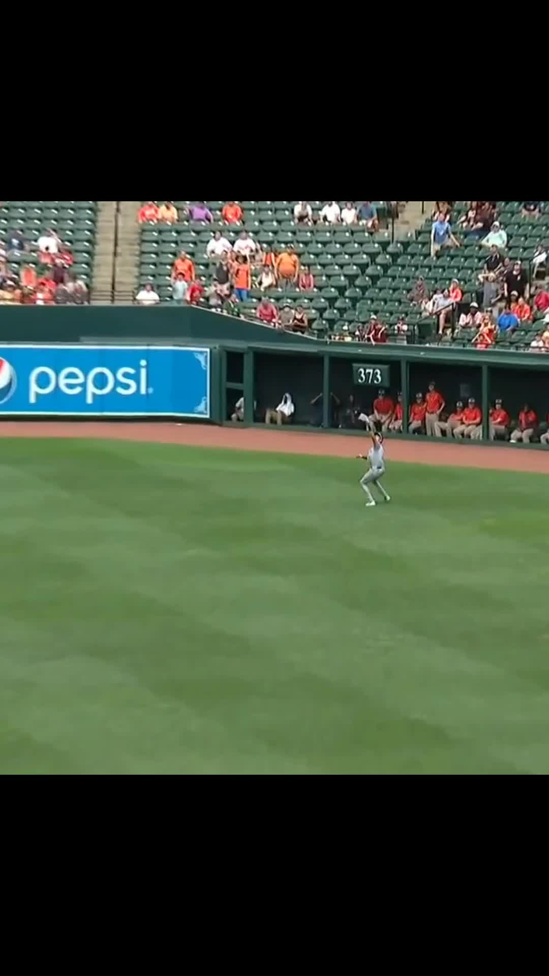 @Baseballfanpage