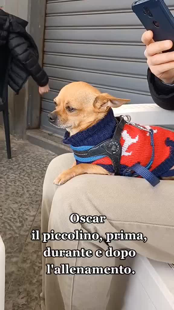 @Oscar il piccolino