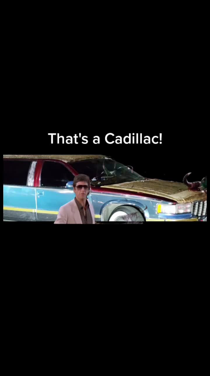 @gibbs_85