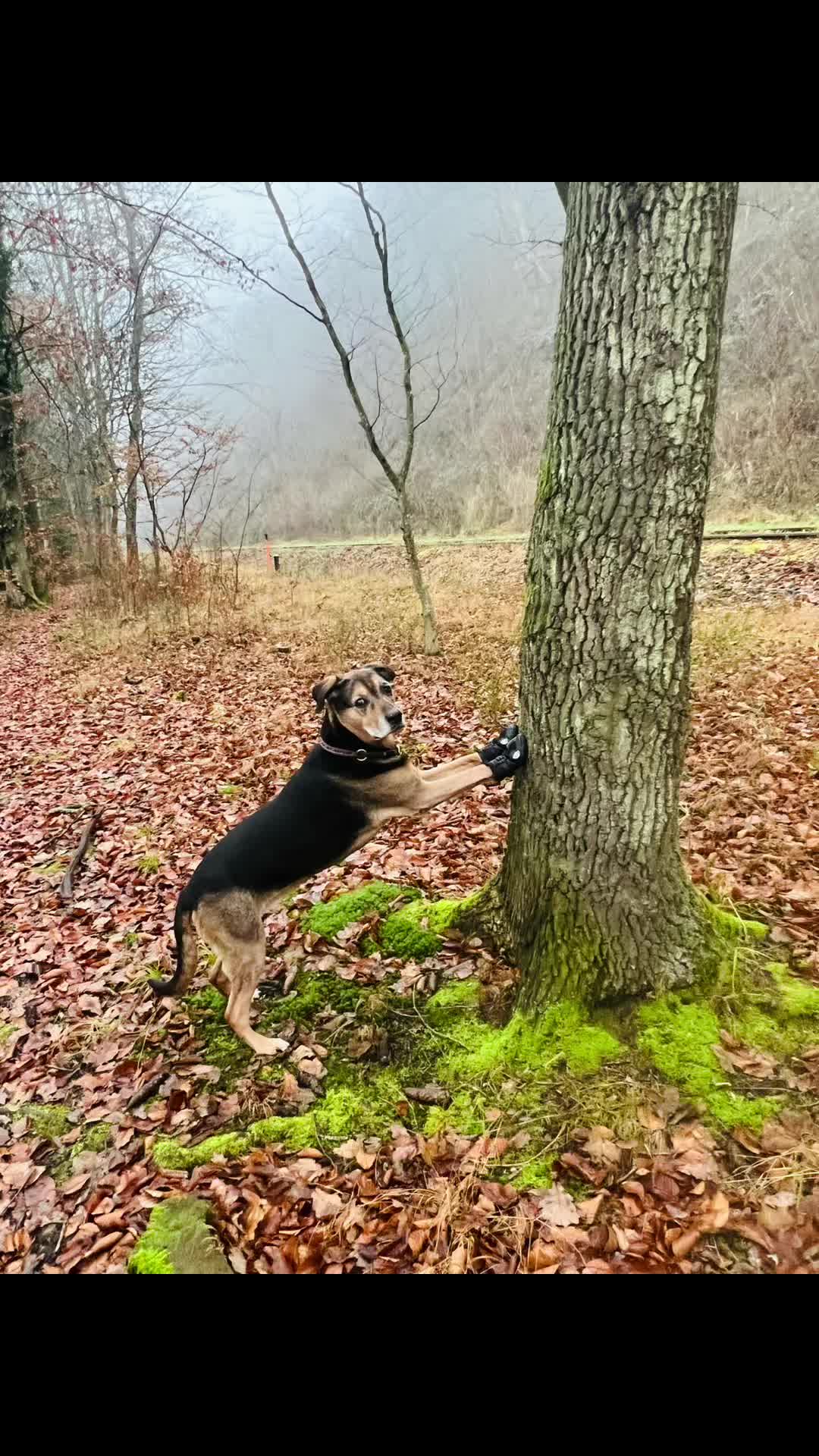 @Sally_Freyja