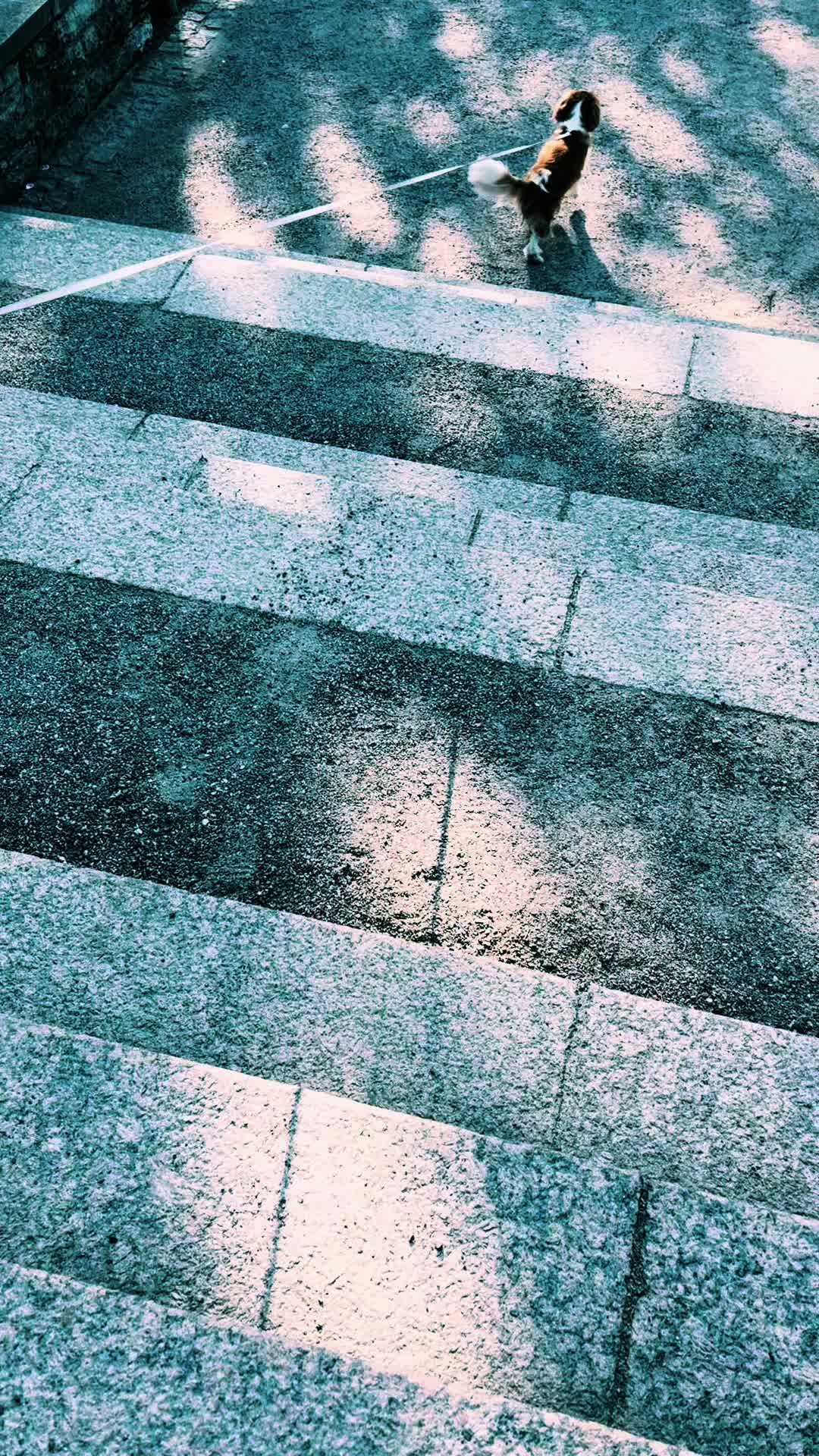 @Гордый Волк 🇫🇷🇪🇪
