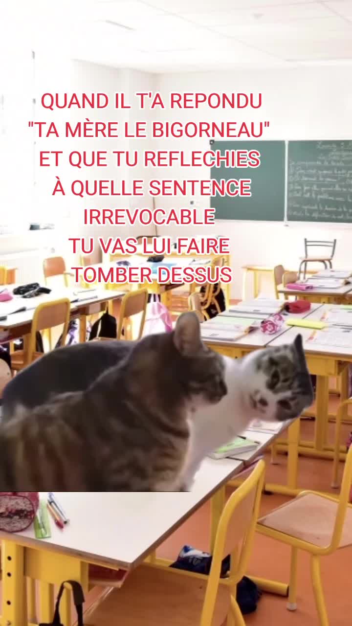 @LOL