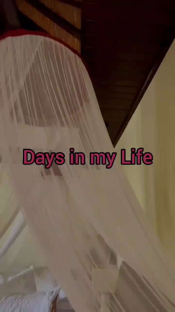 @tiktokholic