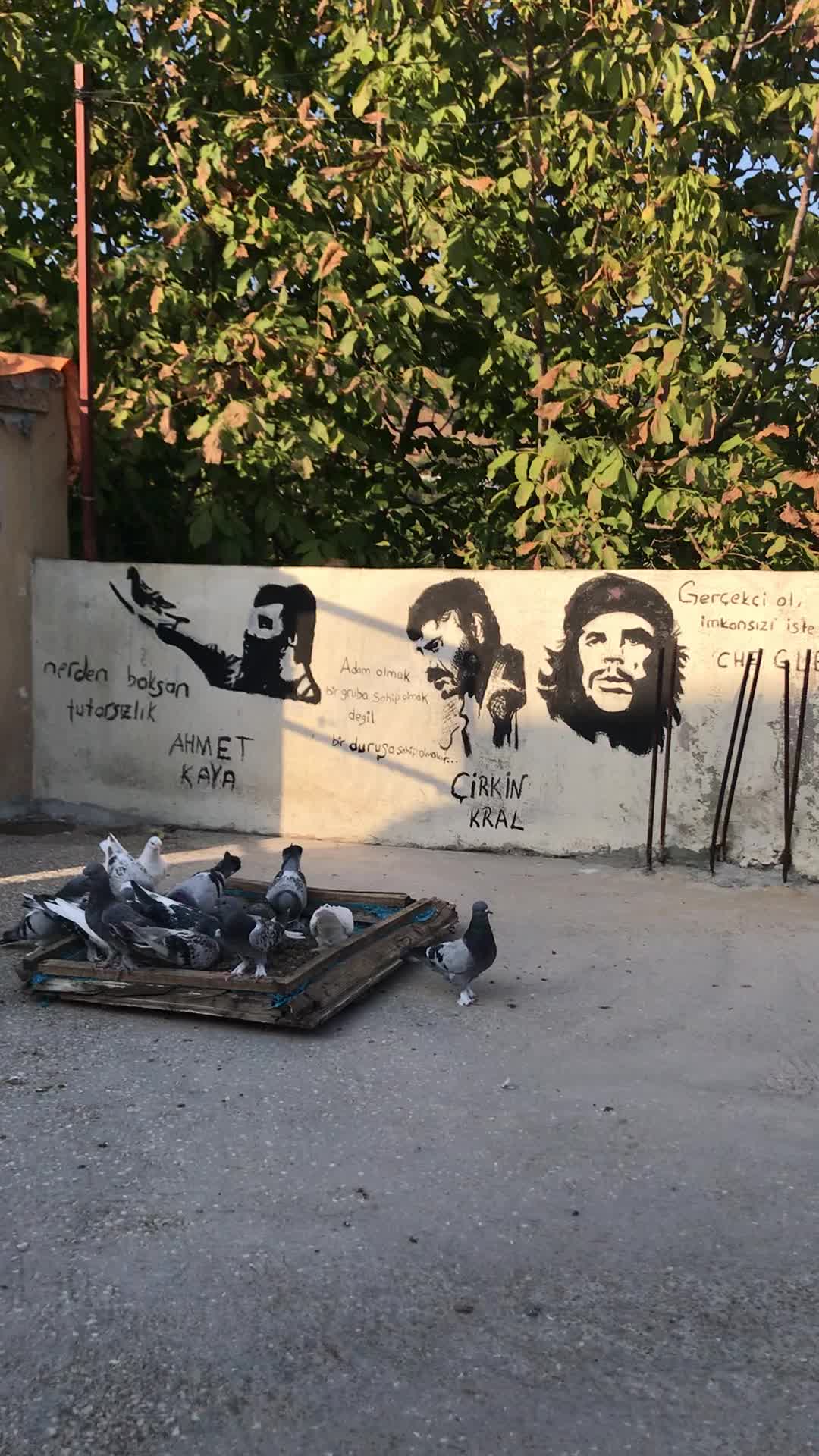 @zaza özkan