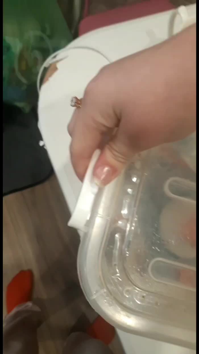 @Улиточки🐌💗
