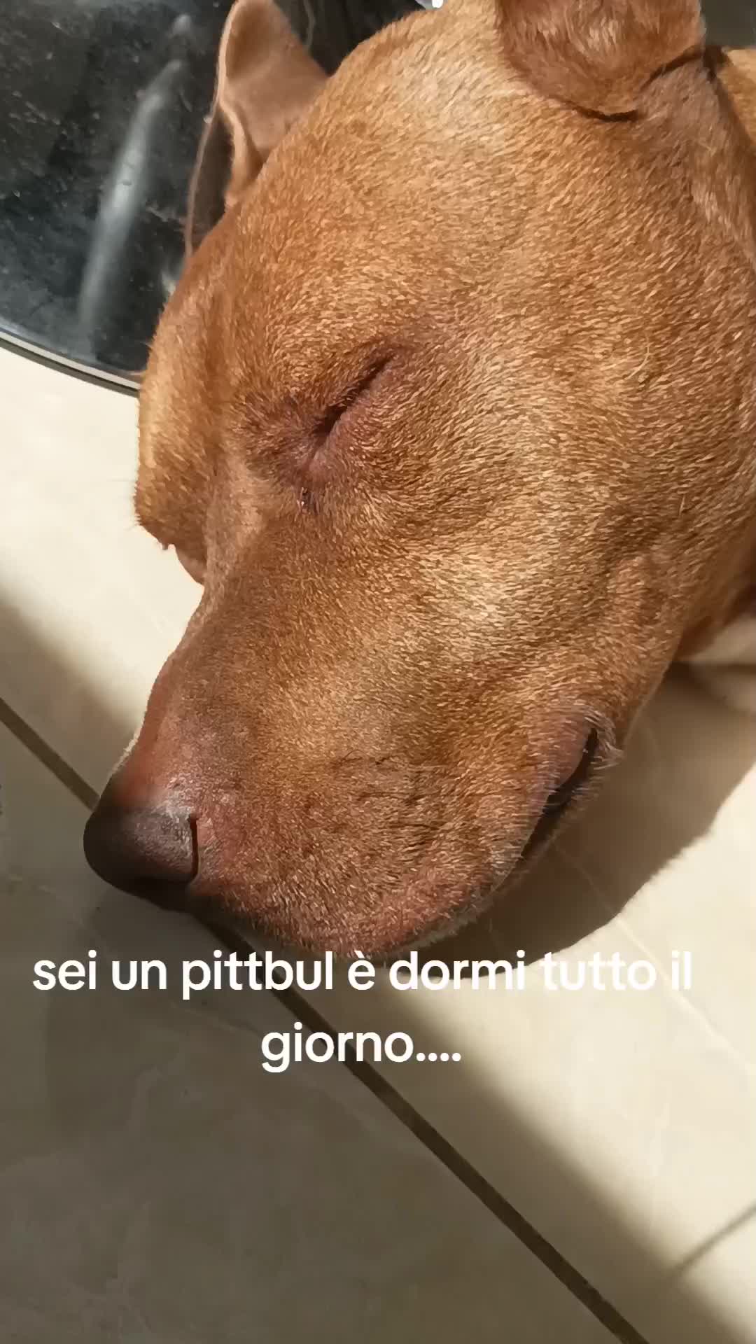 @marytonia