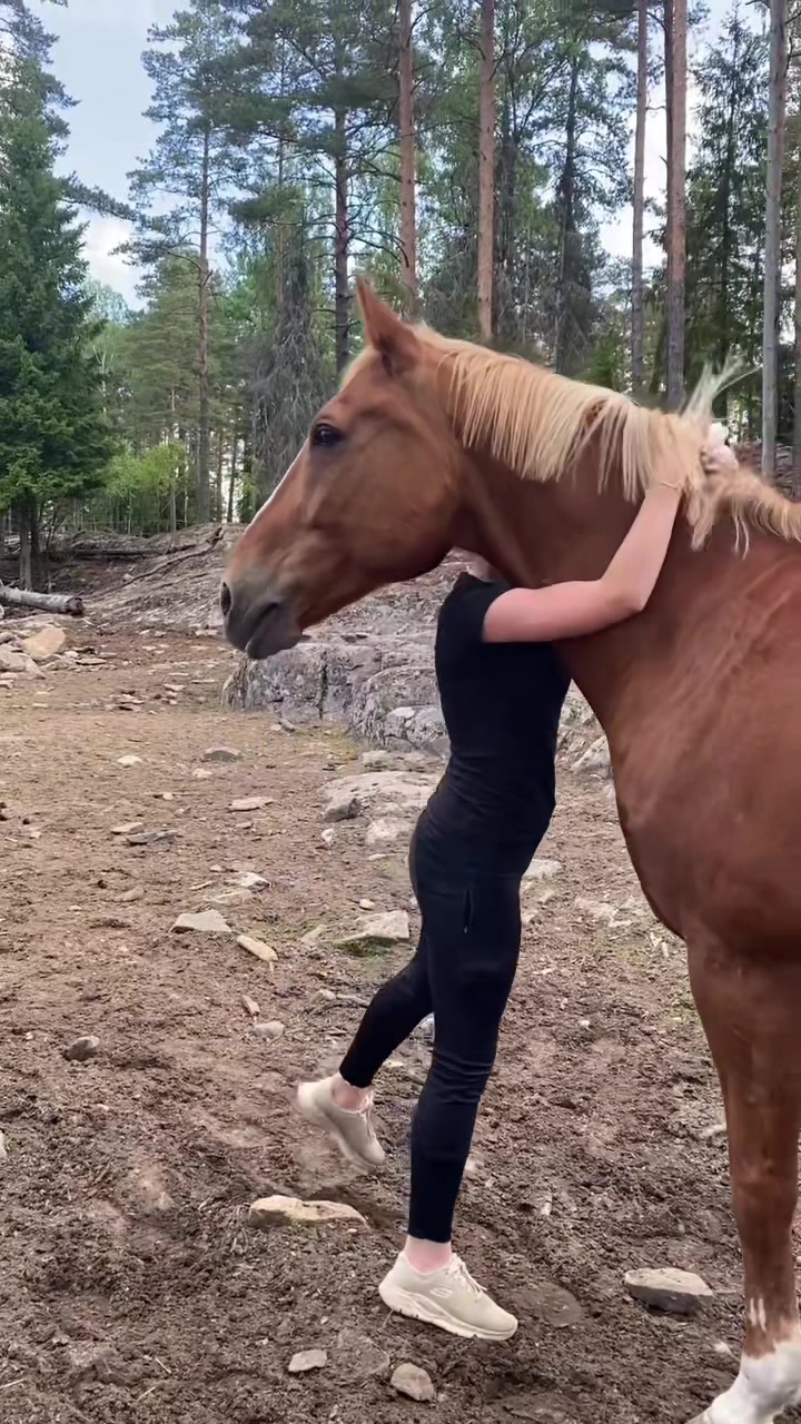 @Gyldermyra🍀