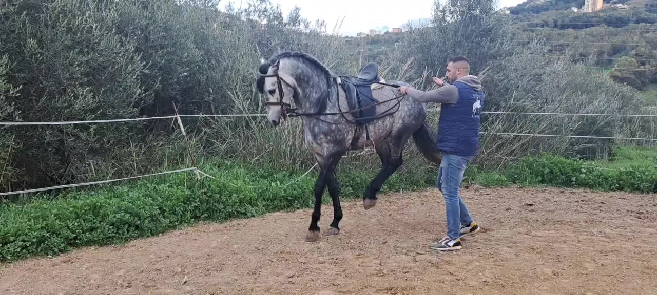 @pietrocanino