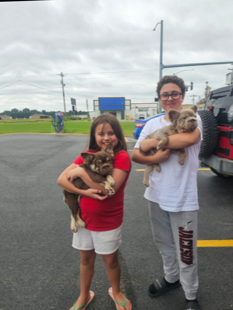 @Diamond State French Bulldogs