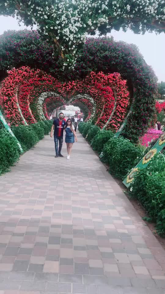 @Tarun_wadhwa