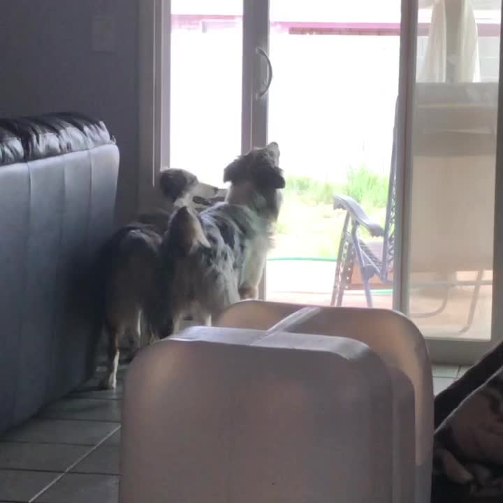 @seeingdoublemerle