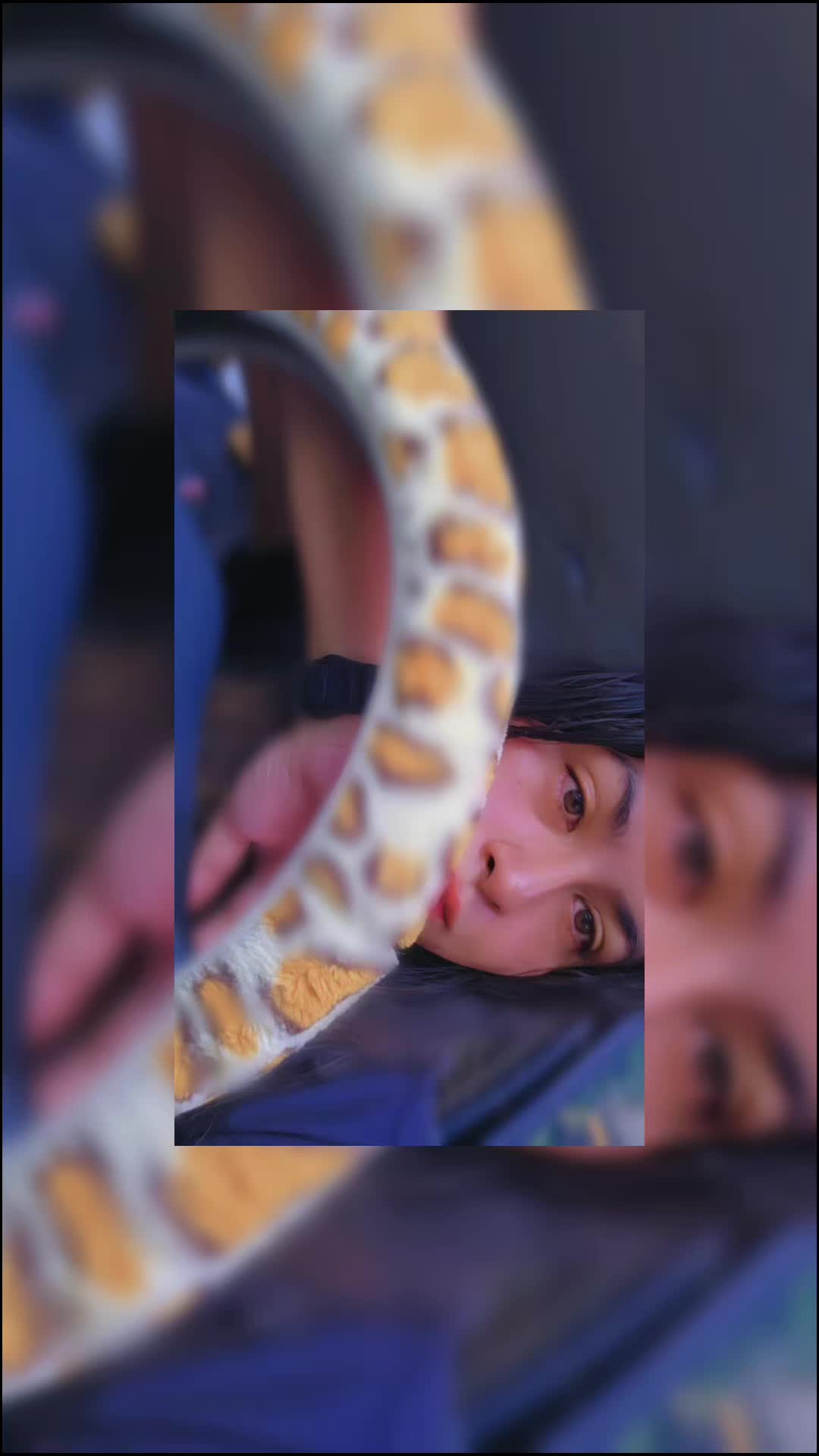@P1k@Chų Ɓ@ɓ¥