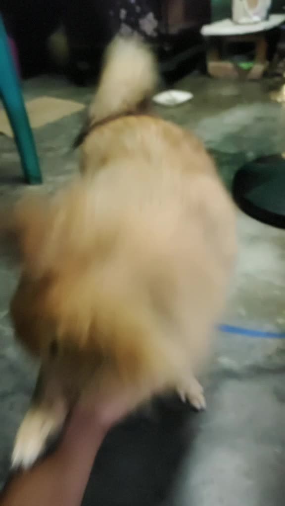 @ßøûvík Dãß