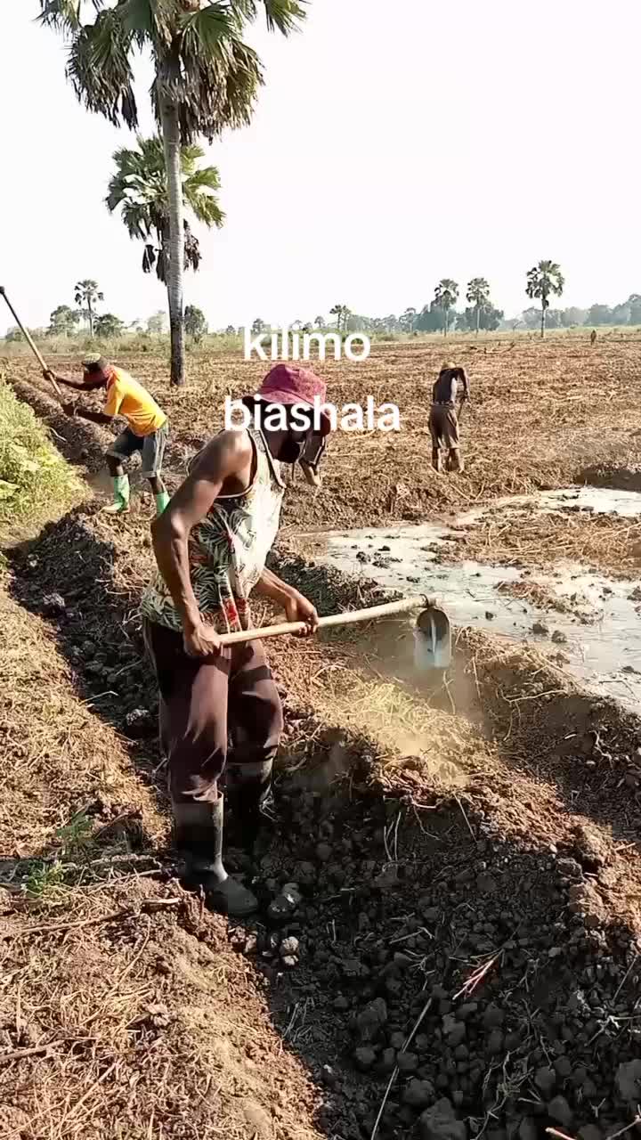 @user565810775125