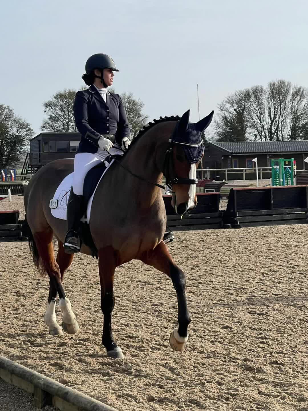 @A_G_Dressage