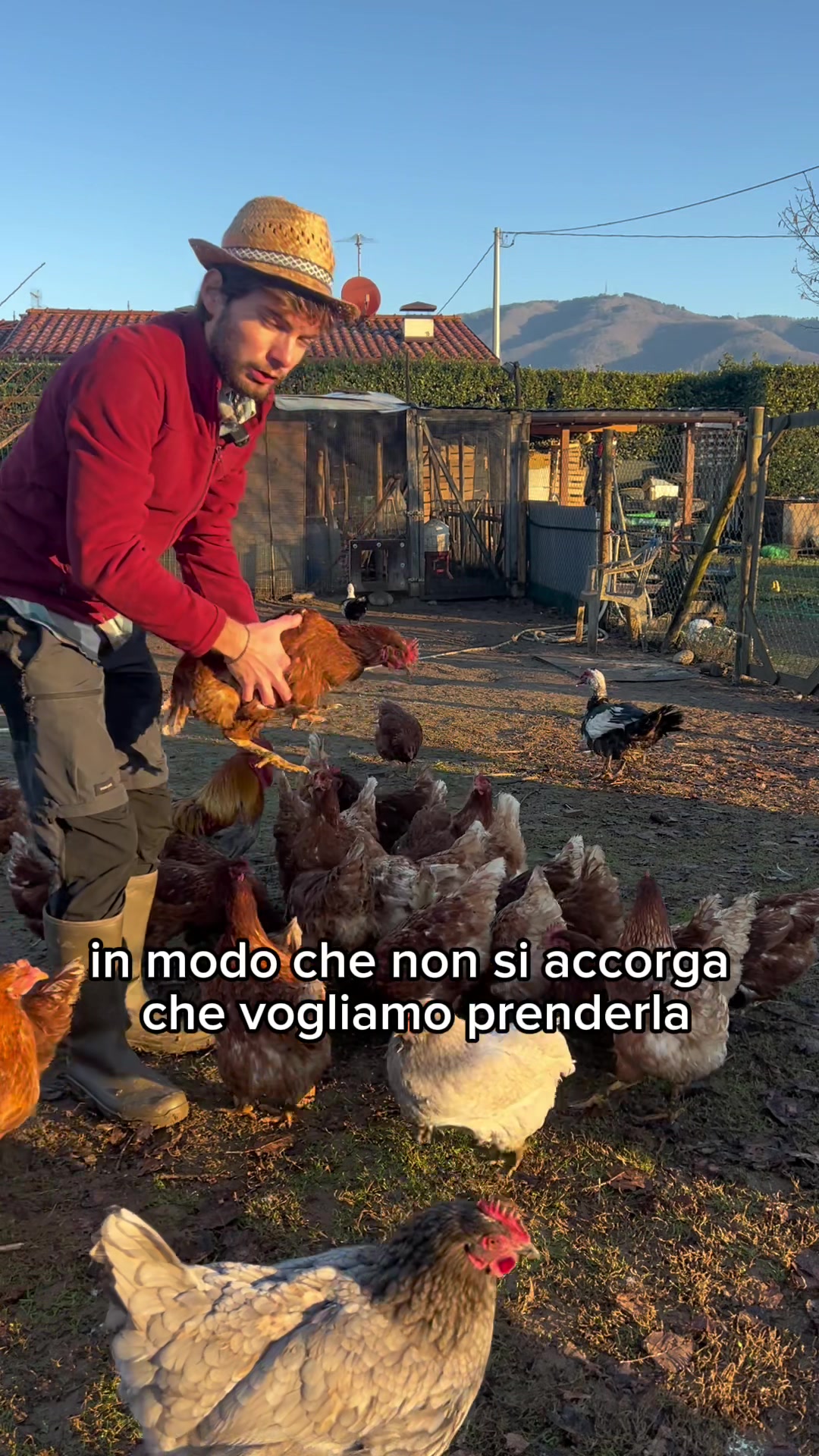 @dolcefattoria
