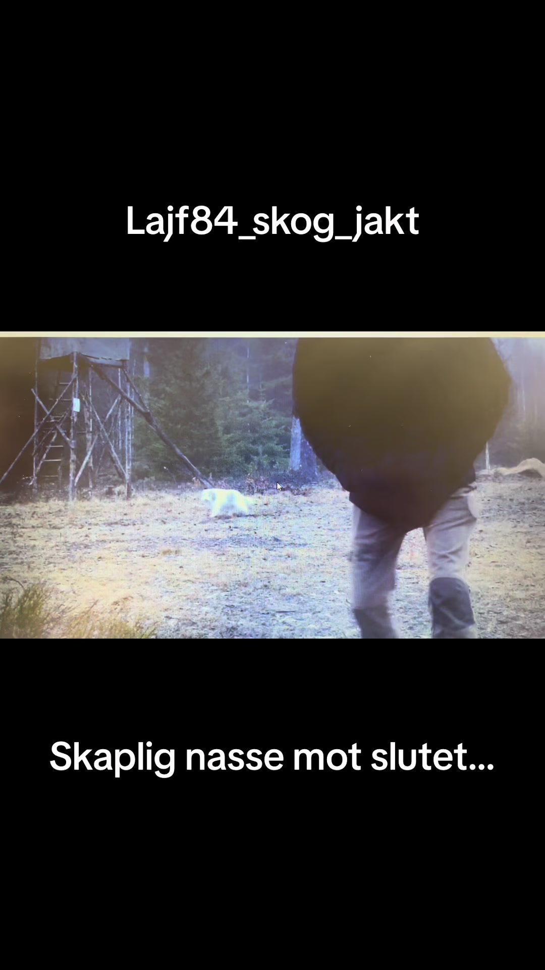 @Lajf84_skog_jakt