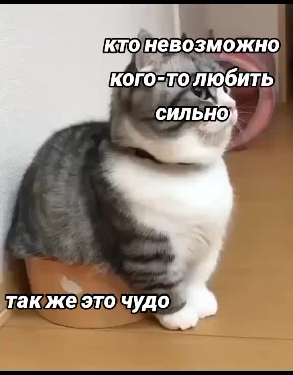 @komaruys