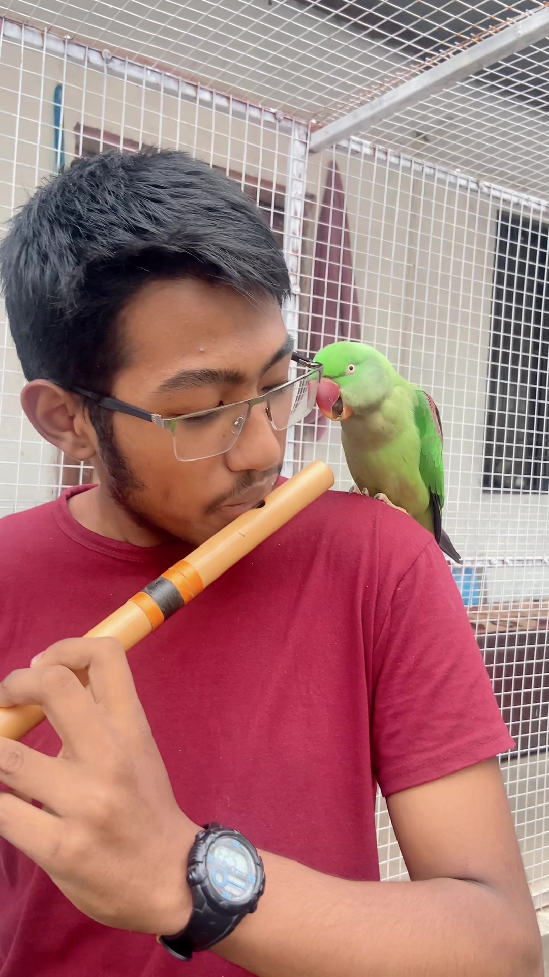 @Chatteringbeaks