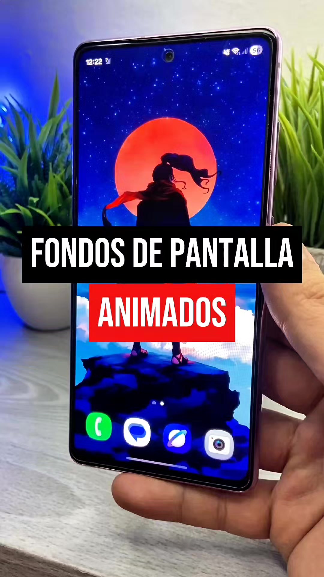 @Soy Sebas