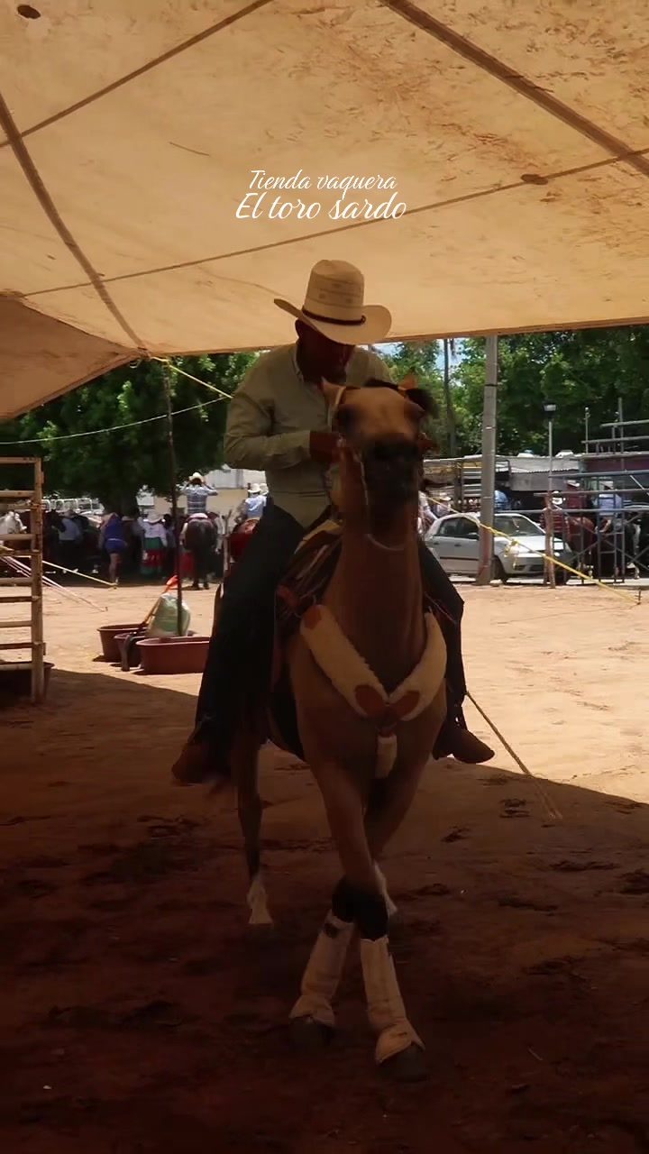 @El Toro Sardo