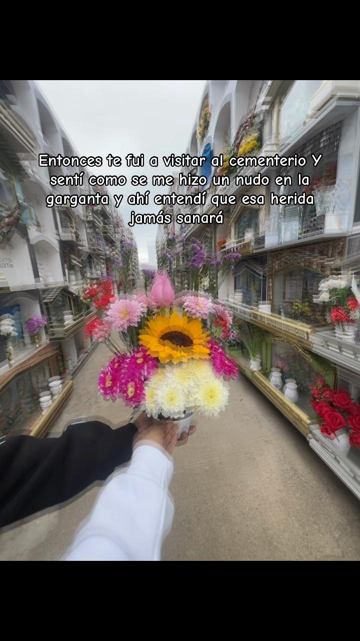 @Mila💗