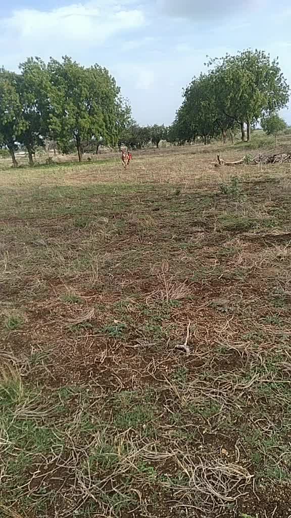 @a. shivakumaranna