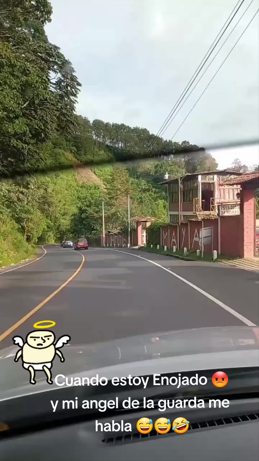 @LDeras 🇸🇻