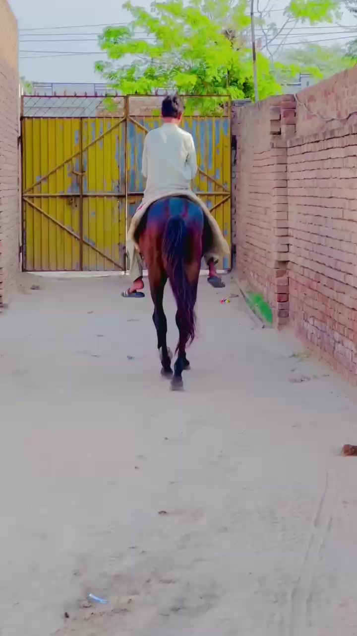 @Farhan kaila❤️